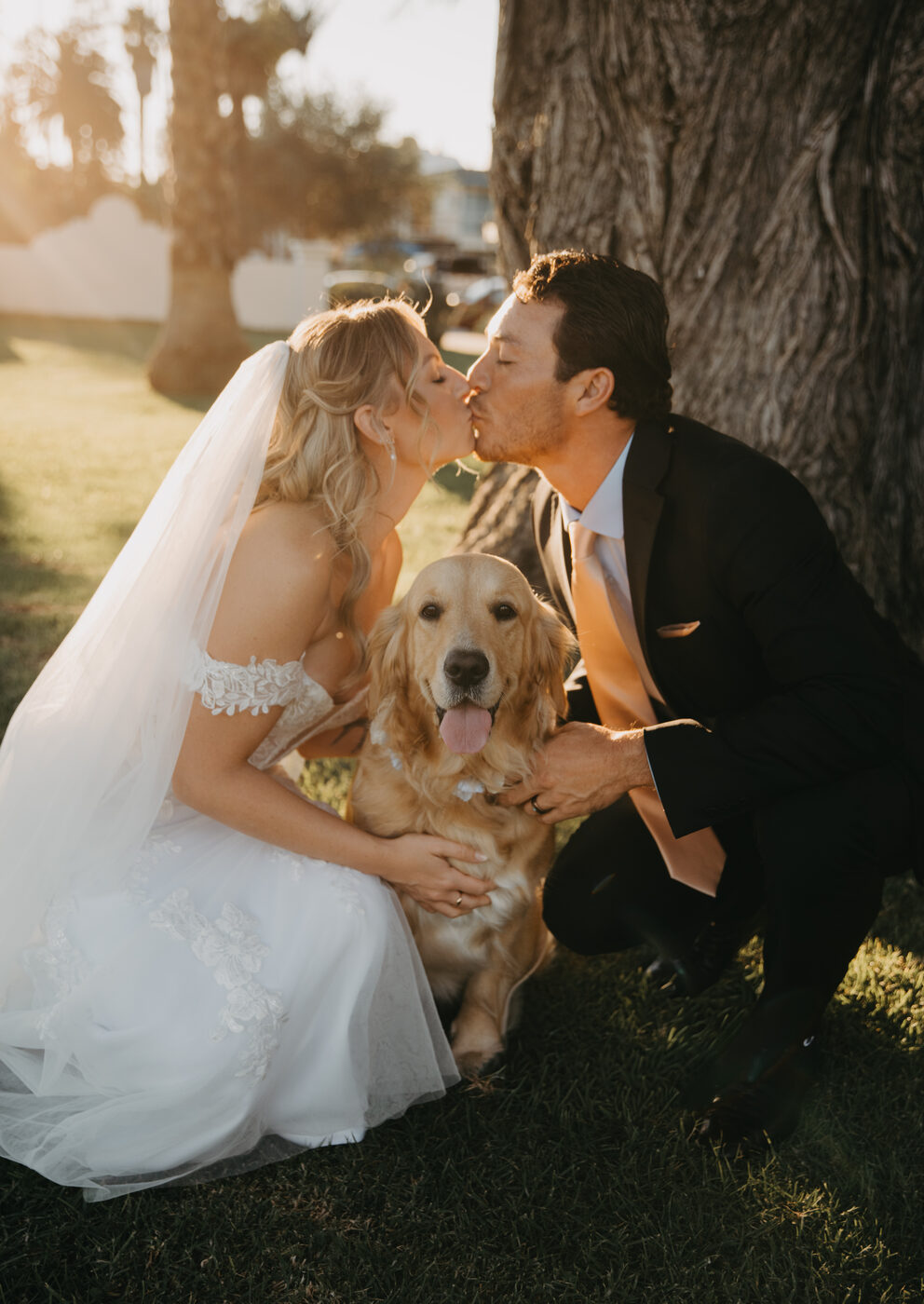 A bride and groom kissing beside their golden retriever under a tree at golden hour